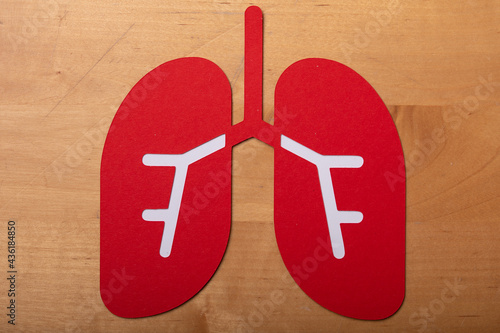 lunge anatomy paper cut check