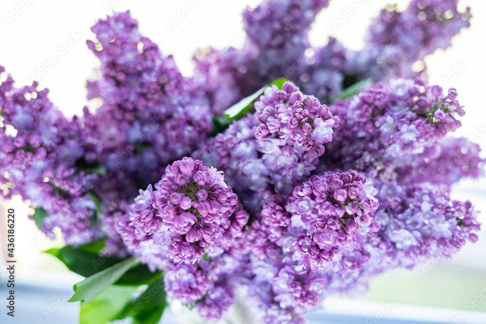 
Bouquet of lilacs on a light background