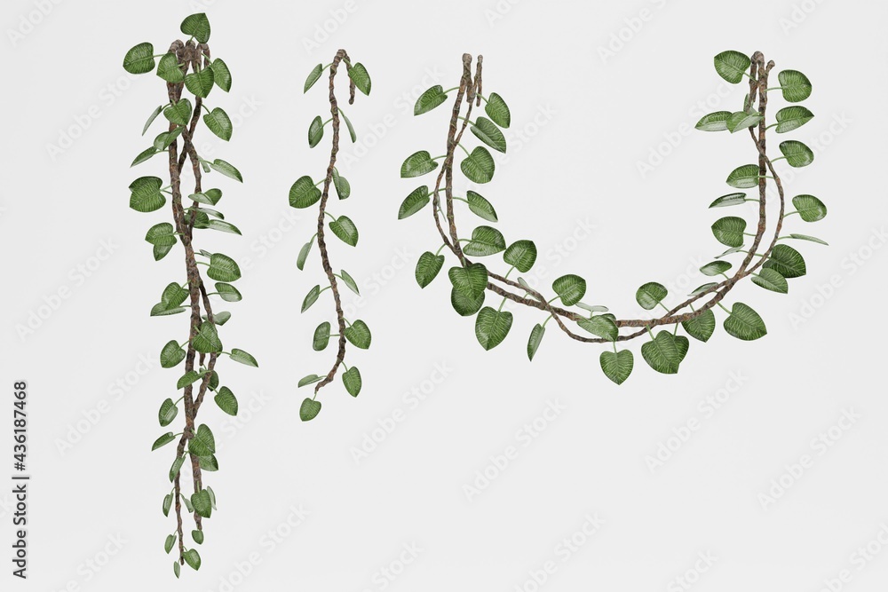 Realistic 3D Render of Liana Plants Realistic 3D Render of Liana Plants