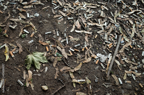 The ground is strewn with cigarette butts. A maple leaf lies nearby. People litter on the street and don't care about nature. The ecology is deteriorating. © shaploff