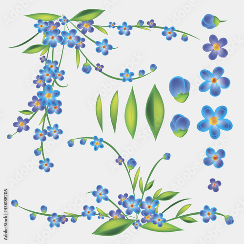 Blue flowers vector set. Blue forget me not spring flowers in bouquet for wedding. Decorative element for greeting card