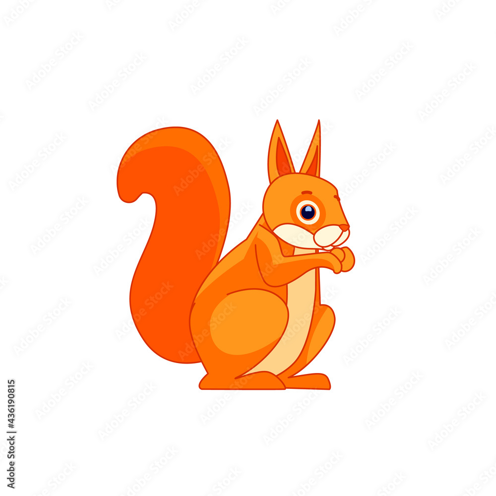 Squirrel, sitting side ways, holding a hazel nut in front paws and eating from it. Tail up. Cartoon character of a rodent mammal animal. Vector flat illustration isolated on a white background Squirrel, sitting side ways, holding a hazel nut in front paws and eating from it. Tail up. Cartoon character of a rodent mammal animal. Vector flat illustration isolated on a white background
