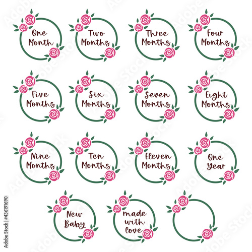 Baby months milestone with text numbers and pink flowers for a newborn girl or boy. Baby shower and baby month anniversary. Nursery prints. Floral set for newborn. Milestone vector stickers.