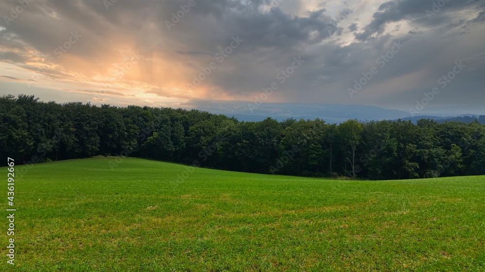 green field in austria at sunset