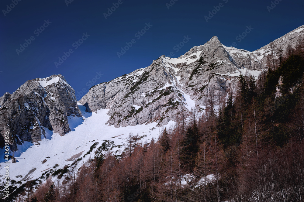 severe view of spring still snowy slovenian alps