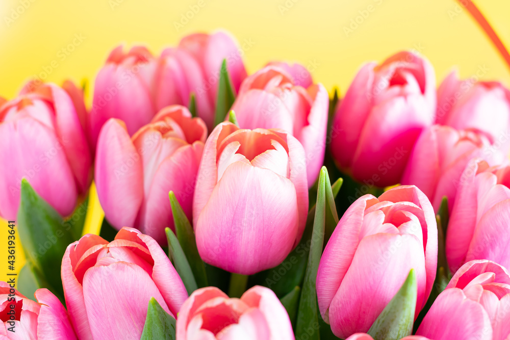 Fresh tulips. Pink tulips in a vase Fresh tulips. Pink tulips in a vase