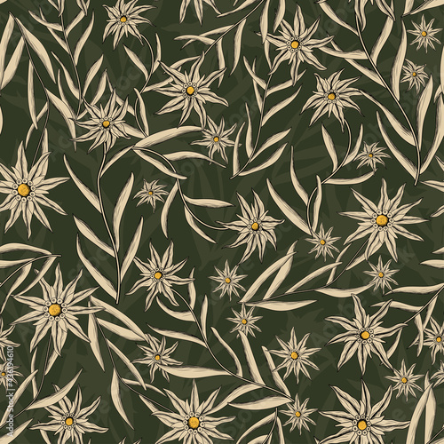 Mountain Flower Edelweiss Seamless Repeat Pattern