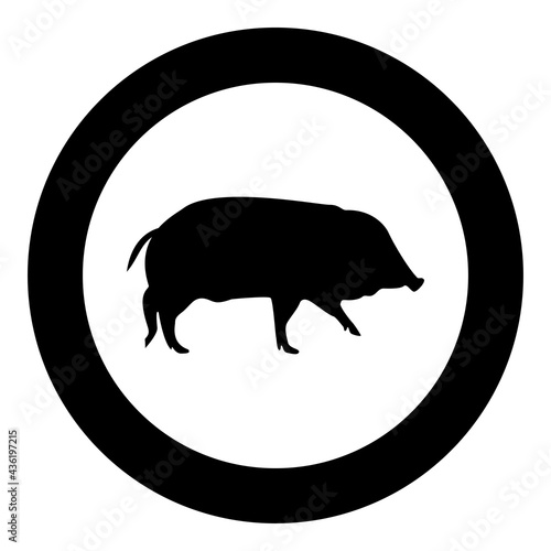 Wild boar Hog wart Swine Suidae Sus Tusker Scrofa silhouette in circle round black color vector illustration solid outline style image
