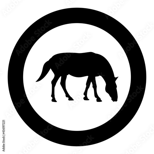 Steed Horse Equestrian Equine Stallion thoroughbred Mustang silhouette in circle round black color vector illustration solid outline style image