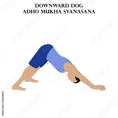 Downward dog yoga workout. Adho Mukha Svanasana. Man doing yoga illustration