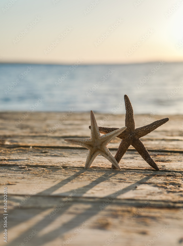 Panorama of summer beach with starfish and blue sea background. Landscape of tropical summer. Summer vacation concept. Panorama of summer beach with starfish and blue sea background. Landscape of tropical summer. Summer vacation concept.