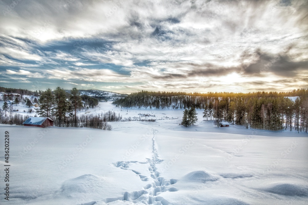 Path through the snow in Swedish Lapland