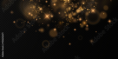 Bokeh light lights effect background. Christmas background of shining dust Christmas glowing golden bokeh confetti and spark overlay texture for your design.