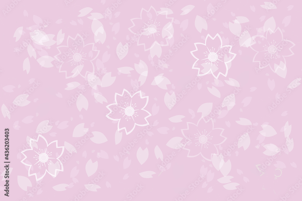 Beautiful soft pink cherry blossom japanese traditional style wallpaper and background.
