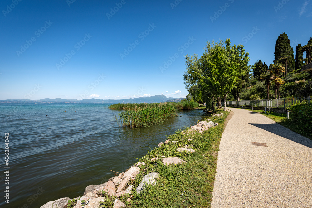 Bicycle and pedestrian lane on the coast of Lake Garda that connects the towns of Lazise, Cisano, Bardolino and Garda. Verona province, Veneto, Italy, Europe. On the horizon the coast of Lombardy.