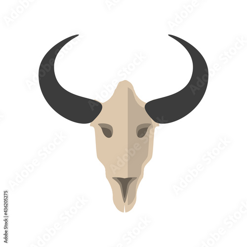 bull skull boho