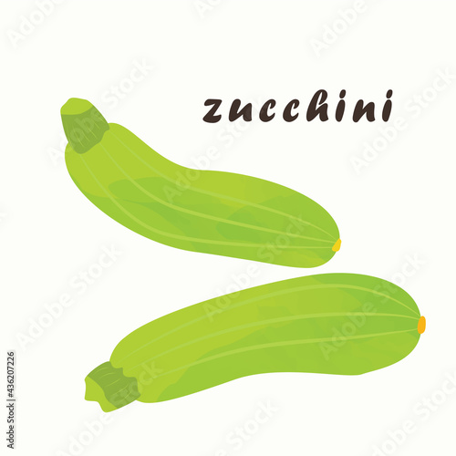 Green zucchini on a white background. Vector illustration. The isolated element is the zucchini. Vegetable, healthy food.