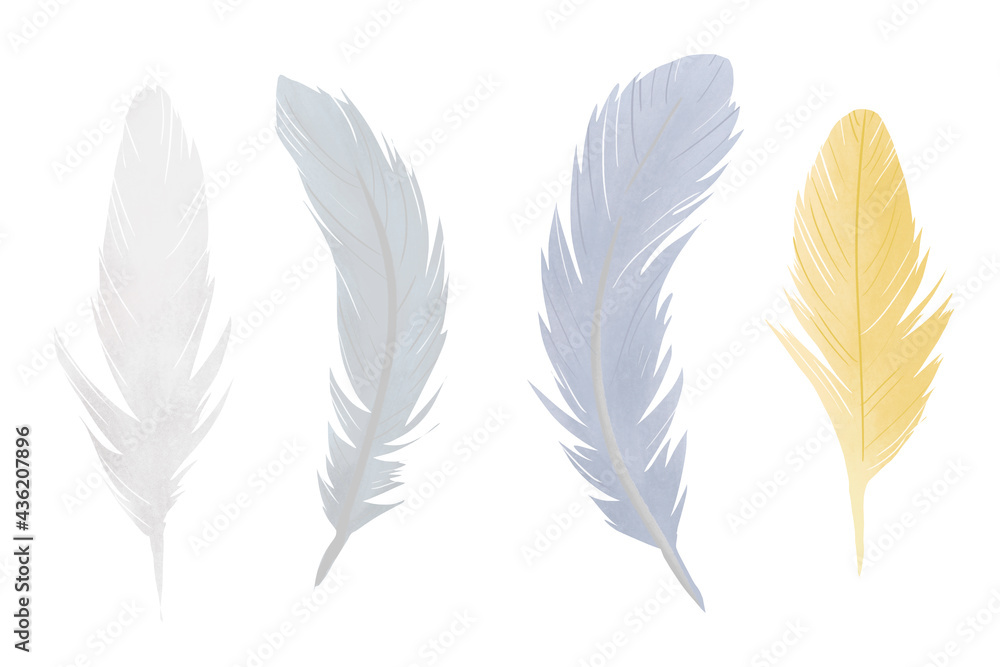 Colorful hand-drawn illustration of 4 feathers on white background Colorful hand-drawn illustration of 4 feathers on white background