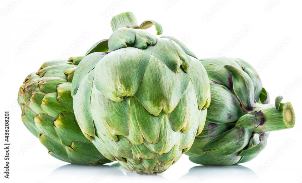 Fototapeta premium Artichoke flower edible buds isolated on white background.