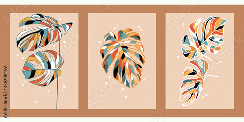 A set of three abstract minimalistic aesthetic floral illustrations. Colorful silhouettes of plants on a light background. Modern vector posters for social networks, web design, interiors. 