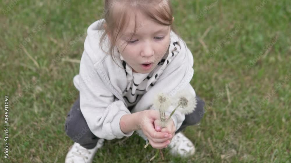 Close-up of a little girl with a bouquet of white dandelions. Close-up of a little girl with a bouquet of white dandelions.