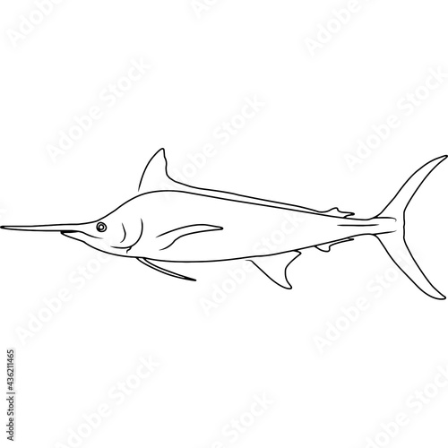 Blue Marlin Hand sketched, hand drawn vector clipart