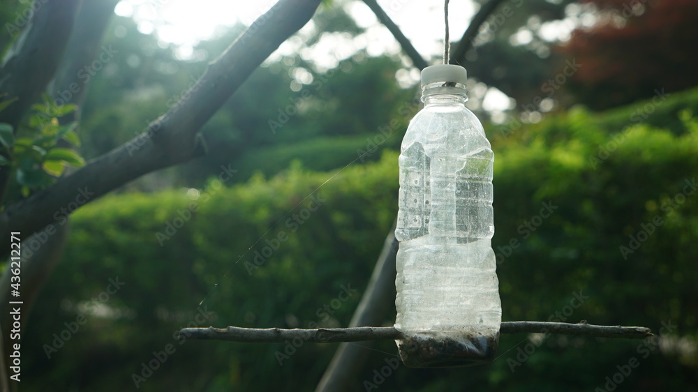 Insect Bottles Trap on the Spring Park Trees Stock Photo