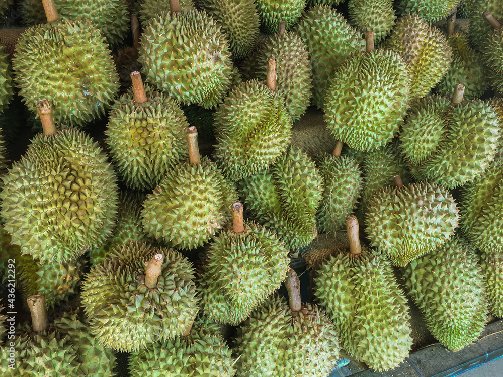 Durian tropical fruit Durian tropical fruit
