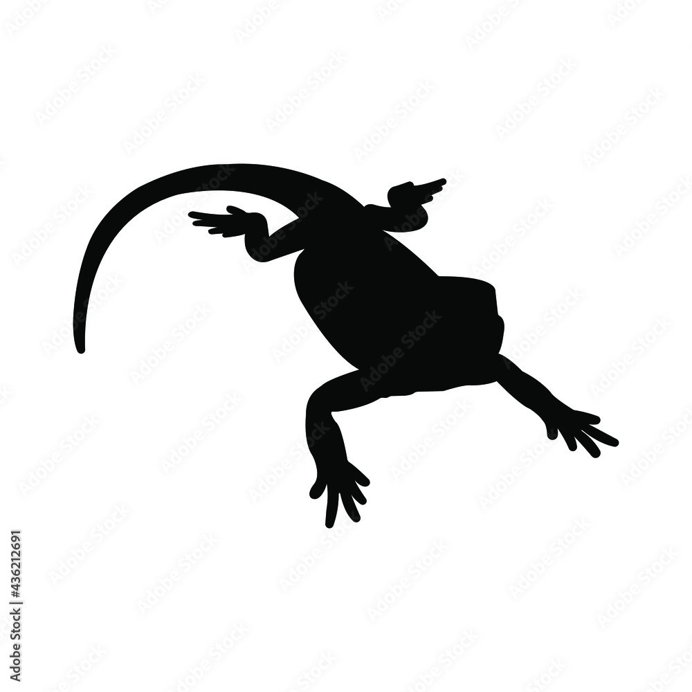 Obraz premium silhouette bearded dragon. vector illustration
