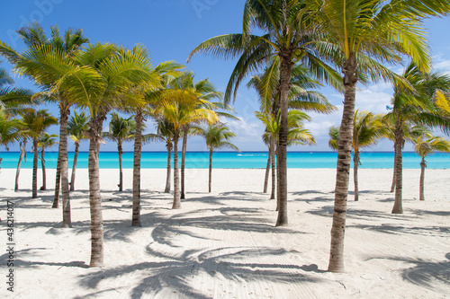 A beautiful beach with white sand, turquoise sea, and palm trees. Paradise beach