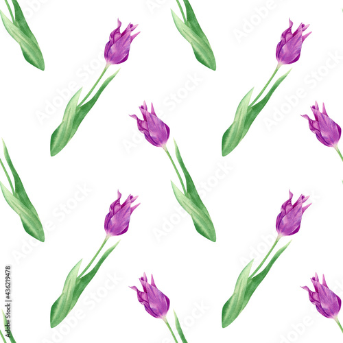 Seamless watercolor tulips pattern.Botanical illustration with violet flowers with leaves