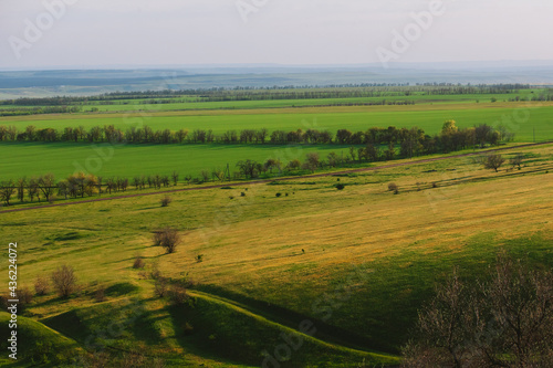 Grassy field and hills. Rural landscapes. Shot from above. Beautiful top view of sown fields. © Татьяна Добрикова