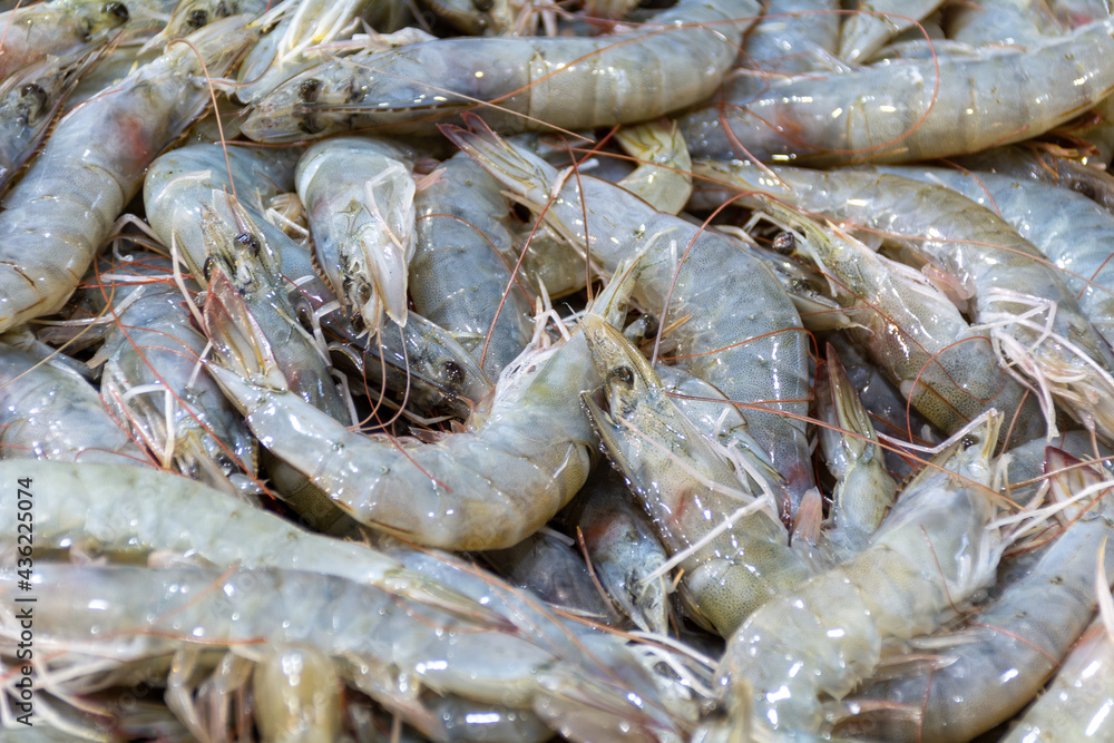 Close up fresh shrimps ready for sale at the market. Shrimps background with copy space. Fresh seafood Close up fresh shrimps ready for sale at the market. Shrimps background with copy space. Fresh seafood
