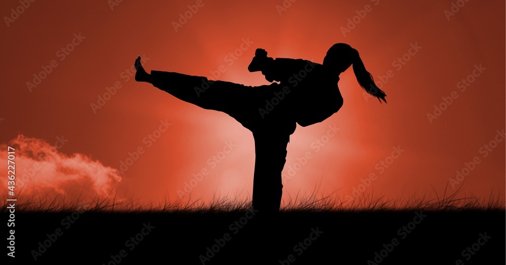 Composition of silhouette of female martial artist against orange sky with sun setting