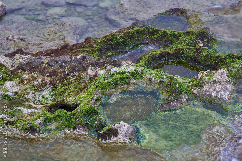 沖縄南部の海岸　琉球石灰岩をえぐって出来たポットホール