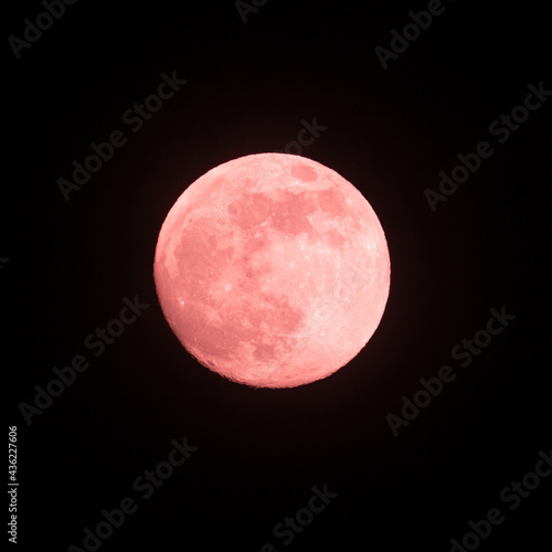 満月‗ピンク