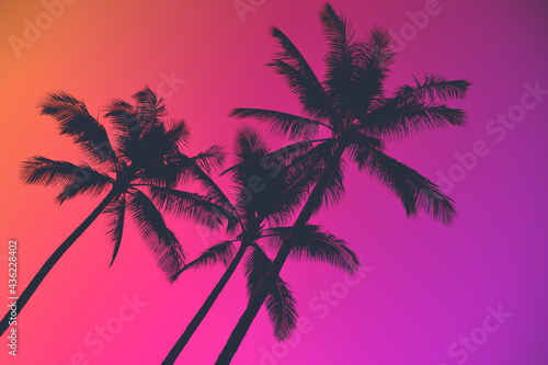Palm trees and neon pink and purple skies © Salty Pineapple