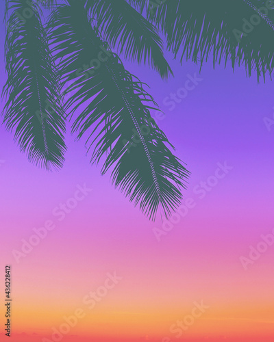 Palm trees and purple skies