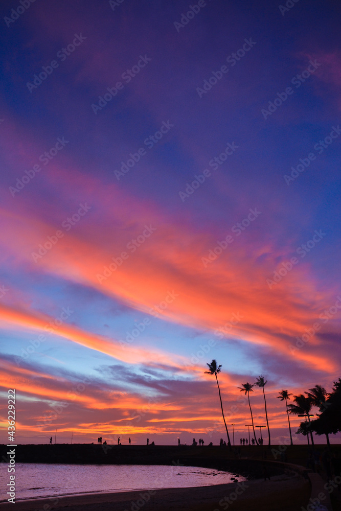 People watching the sunset with one palm tree silhouette and bright pink clouds and sky