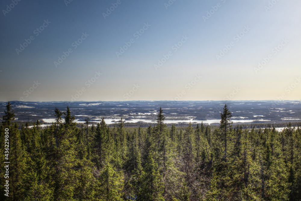Lapland landscape seen from Amliden in Sweden