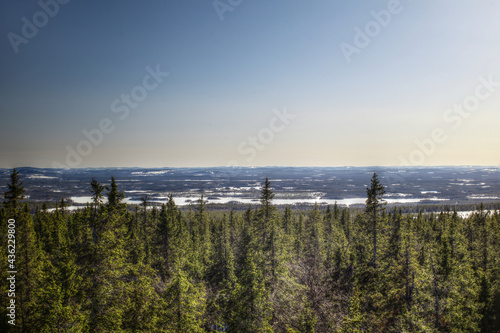 Lapland landscape seen from Amliden in Sweden © jojoo64