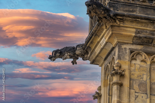 Prague dome caste saint vitus church gargoyle detal photo