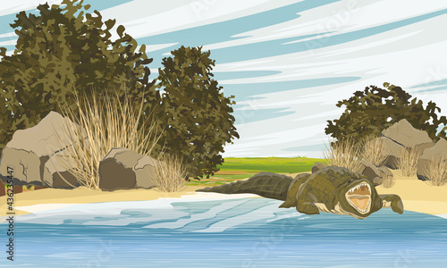 Nile crocodile Crocodylus niloticus enters the lake. Shore of a shallow river with stones and bushes. Realistic vector landscape