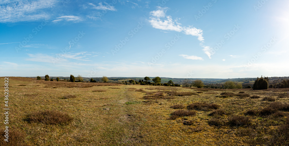 Fototapeta premium Panoramic view of countryside landscape and footpath through the empty field in the nature reserve. Photo taken at the hills of Brosarp, a popular outdoor tourist attraction in south of Sweden.