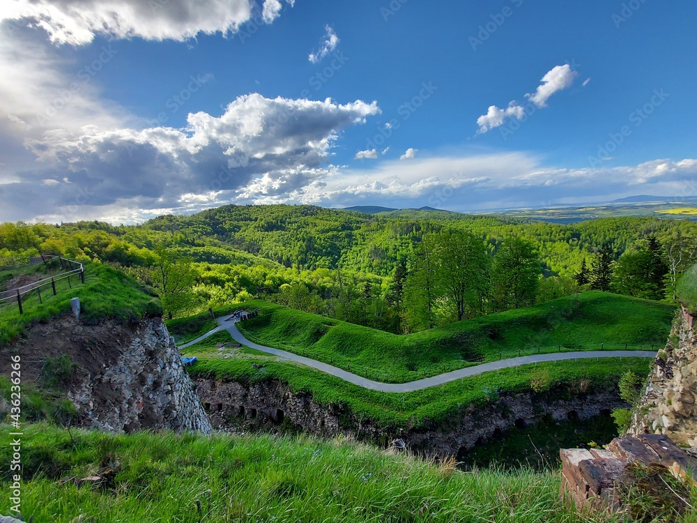 Naklejka premium vineyard