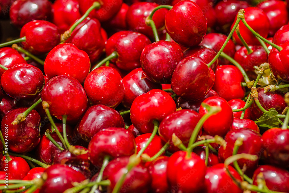 Picked, red, ripe cherry fruits in a wooden box, on a plantation in Novi Sad, Serbia-background. Picked, red, ripe cherry fruits in a wooden box, on a plantation in Novi Sad, Serbia-background.