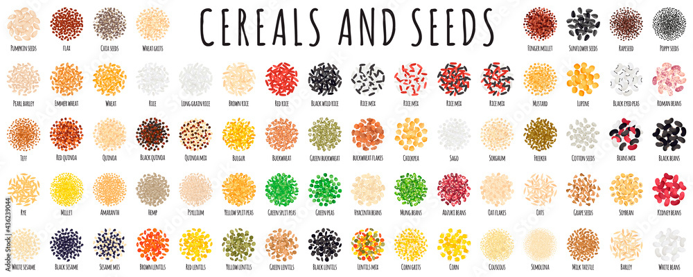 Large healthy cereal and seed set as beans, rice, buckwheat, quinoa, chia, pumpkin, chickpea, barley, oat, flax.