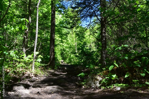 Park of the Doncaster river in southern Quebec