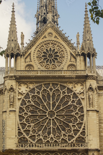 detail of the cathedral de mallorca