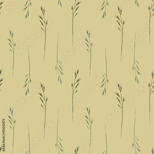Fototapeta Naklejka Na Ścianę i Meble -  Watercolor seamless pattern with wild field herbs, wild grasses on a beige background.